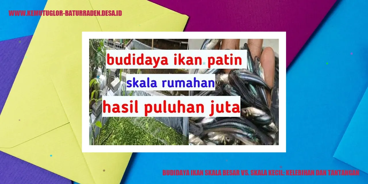 Budidaya Ikan Skala Besar vs. Skala Kecil: Kelebihan dan Tantangan