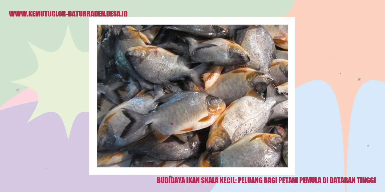 Budidaya Ikan Skala Kecil