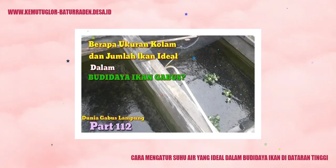 Cara Mengatur Suhu Air yang Ideal dalam Budidaya Ikan di Dataran Tinggi