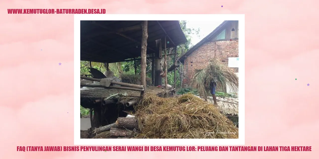 Bisnis Penyulingan Serai Wangi