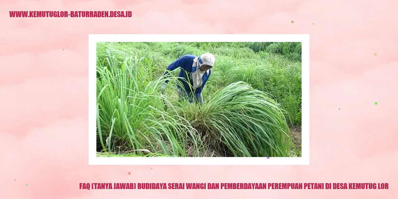 FAQ (Tanya Jawab) Budidaya Serai Wangi dan Pemberdayaan Perempuan Petani di Desa Kemutug Lor