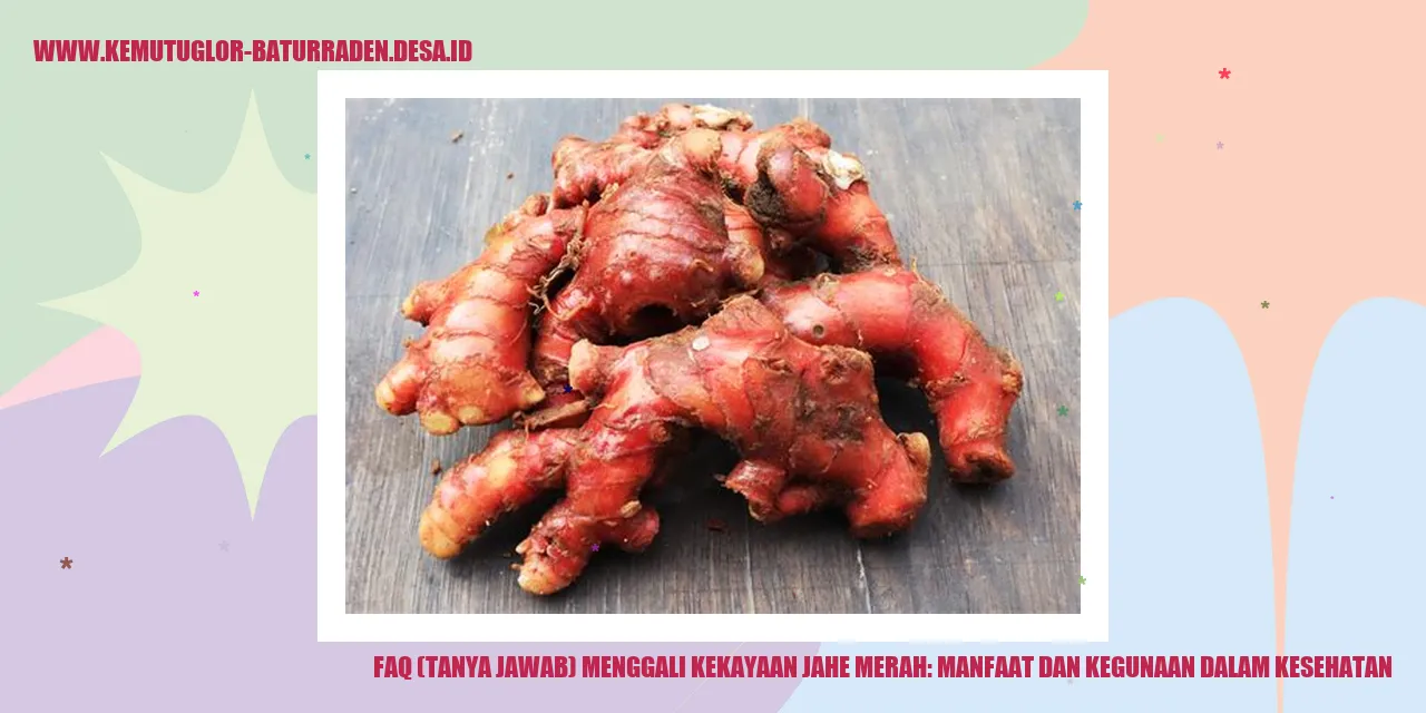 Gambar Jahe Merah