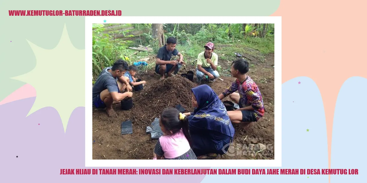 Jejak Hijau di Tanah Merah: Inovasi dan Keberlanjutan dalam Budi Daya Jahe Merah di desa kemutug lor