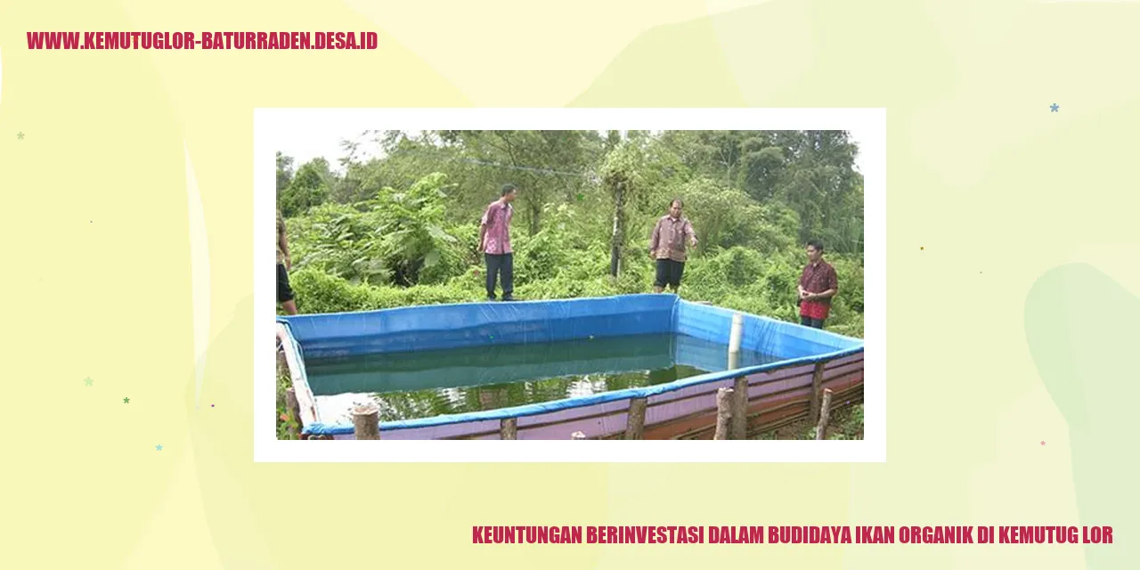 Keuntungan Berinvestasi dalam Budidaya Ikan Organik di Kemutug Lor