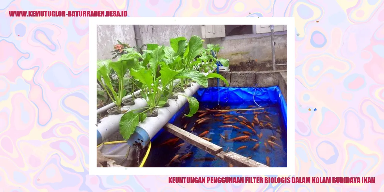 Filter Biologis Kolam Budidaya Ikan