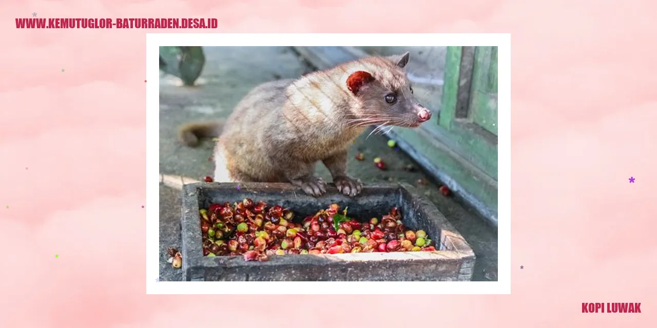 Kopi Luwak