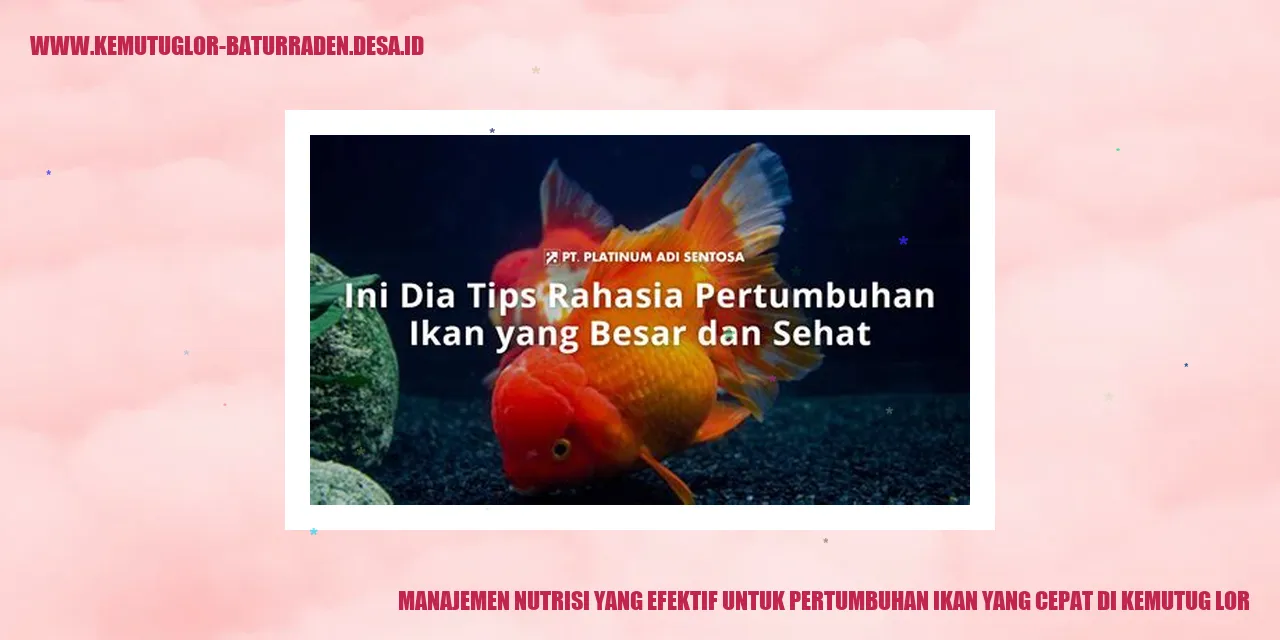 gambar ikan