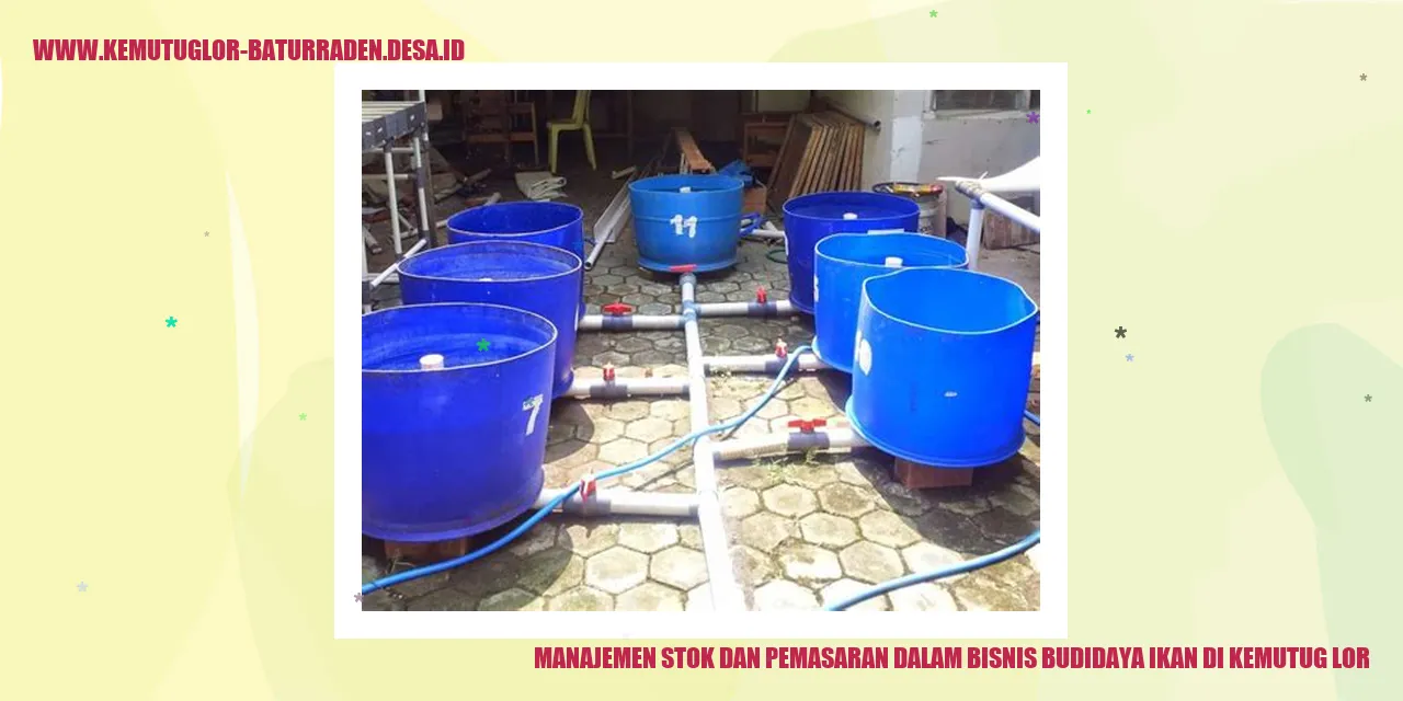 Manajemen Stok dan Pemasaran dalam Bisnis Budidaya Ikan di Kemutug Lor