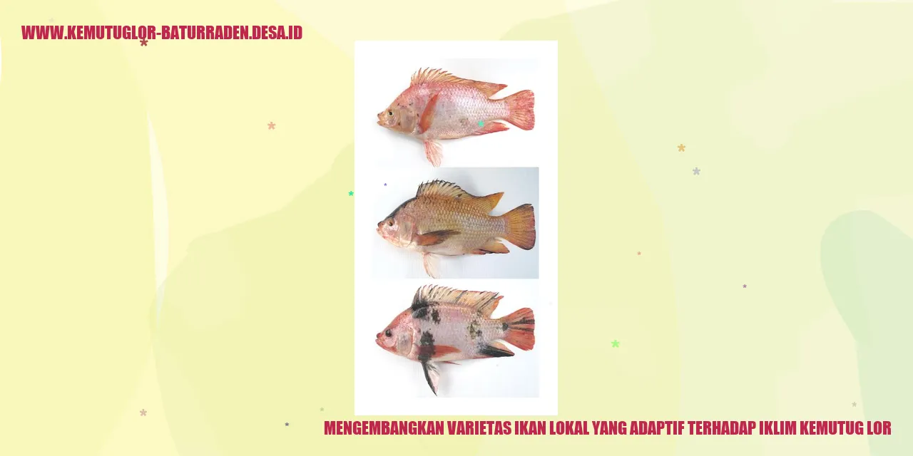 Ikan Lokal di Desa Kemutug Lor