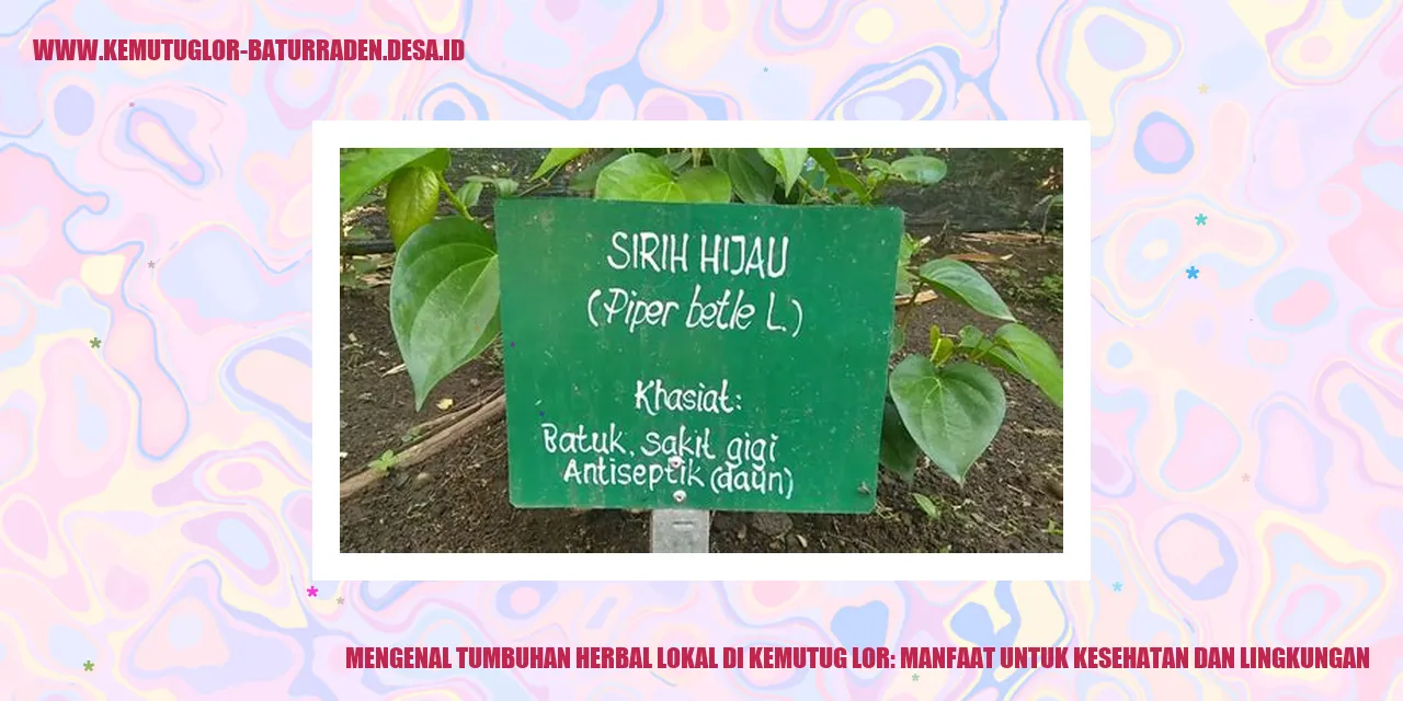 Tumbuhan Herbal Lokal