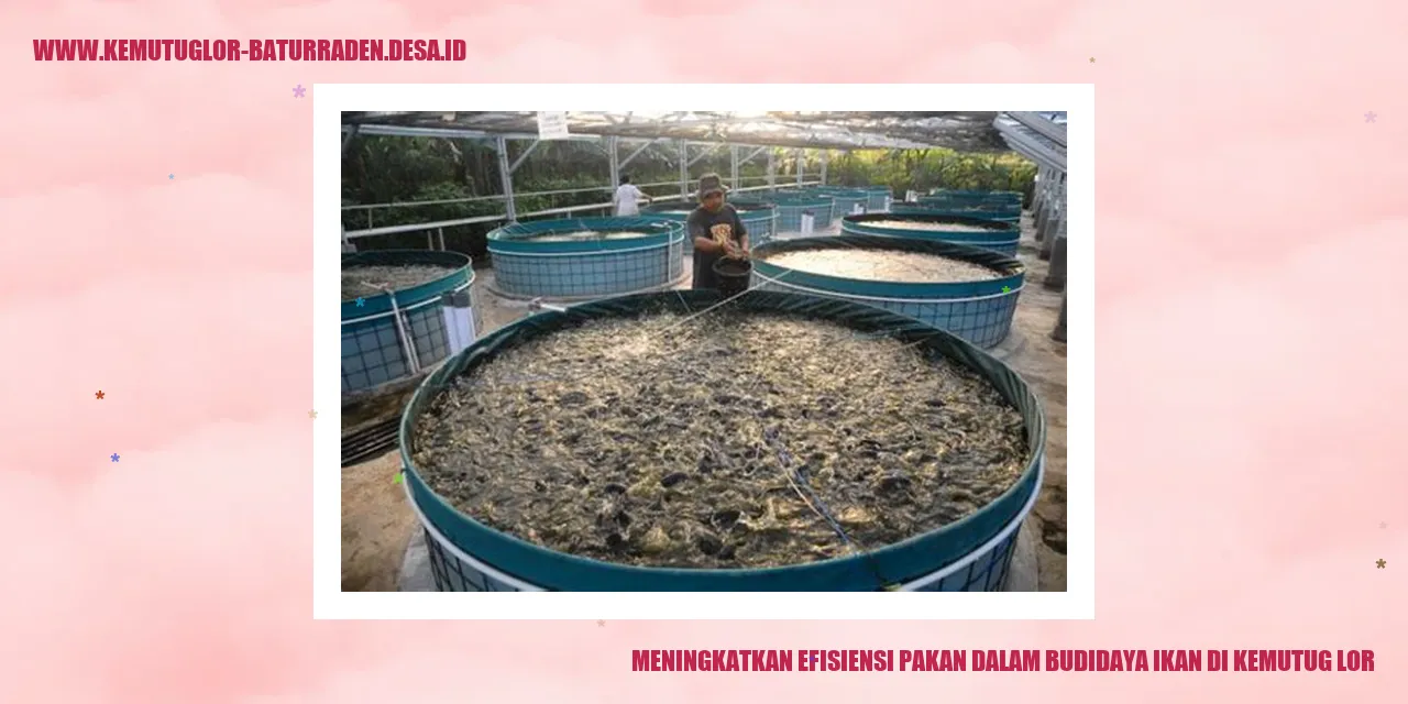 Meningkatkan Efisiensi Pakan dalam Budidaya Ikan di Kemutug Lor