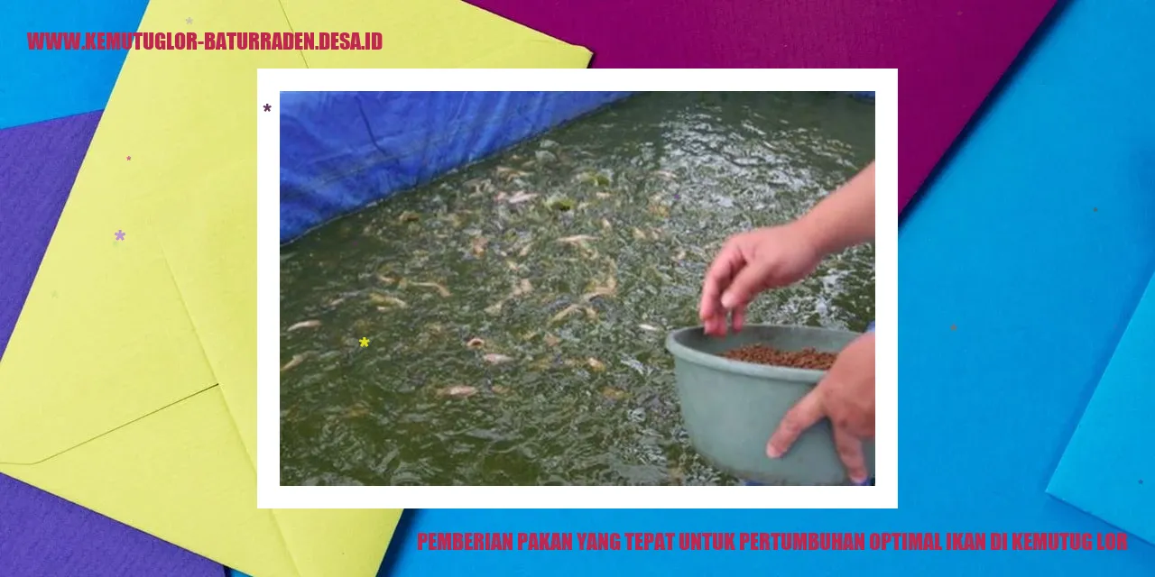 Pemberian Pakan yang Tepat untuk Pertumbuhan Optimal Ikan di Kemutug Lor