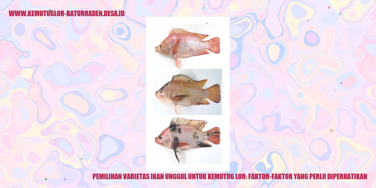 Pemilihan Varietas Ikan Unggul untuk Kemutug Lor