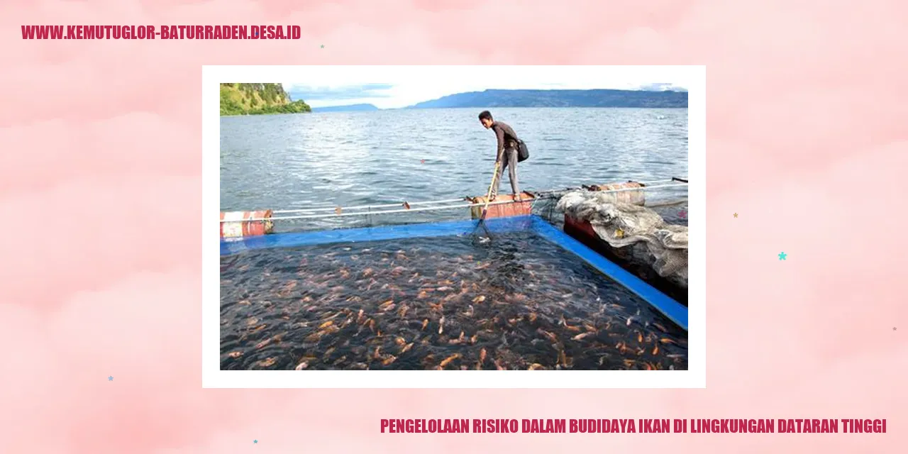 Budidaya Ikan di Lingkungan Dataran Tinggi