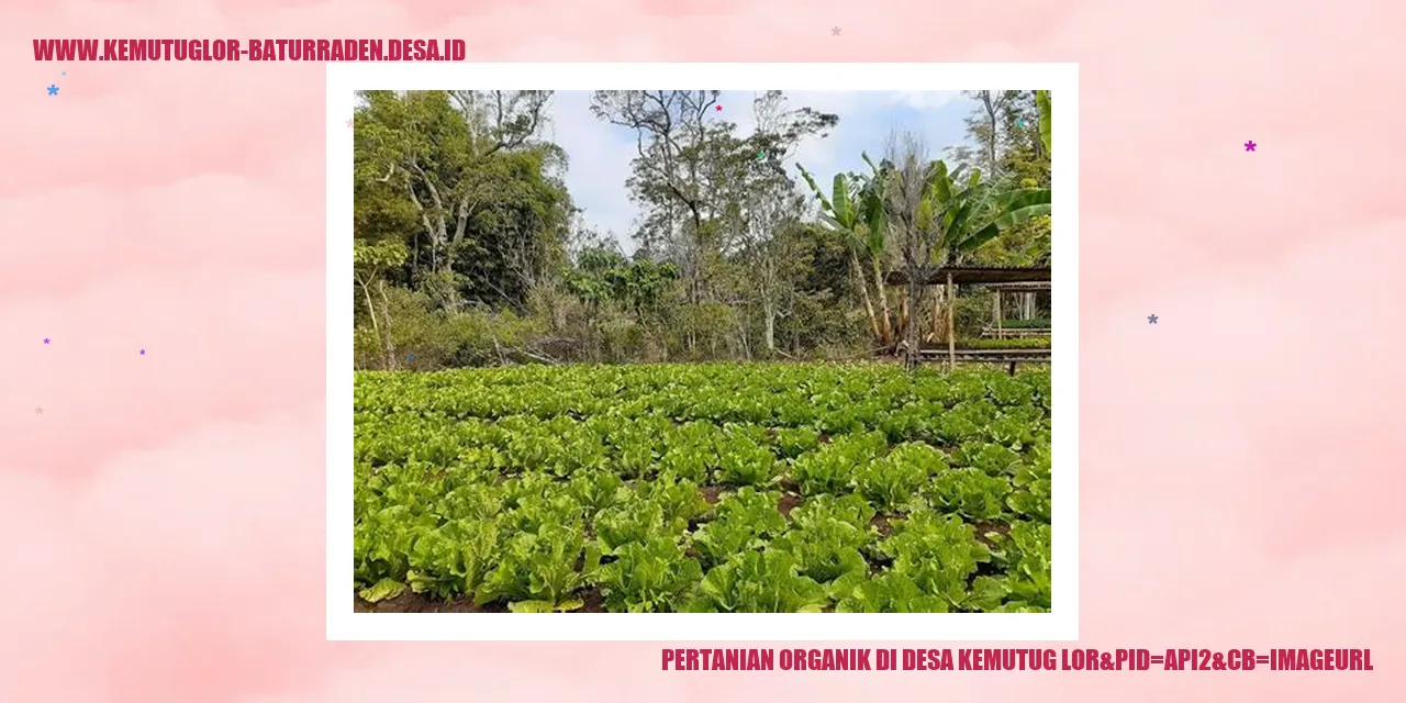 Pertanian Organik di Desa Kemutug Lor