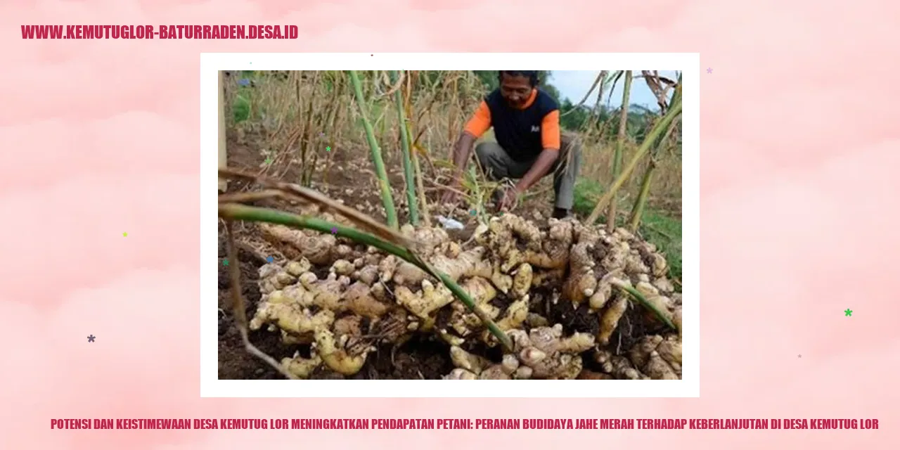 Potensi dan Keistimewaan Desa Kemutug Lor Meningkatkan Pendapatan Petani: Peranan Budidaya Jahe Merah terhadap Keberlanjutan di desa kemutug lor