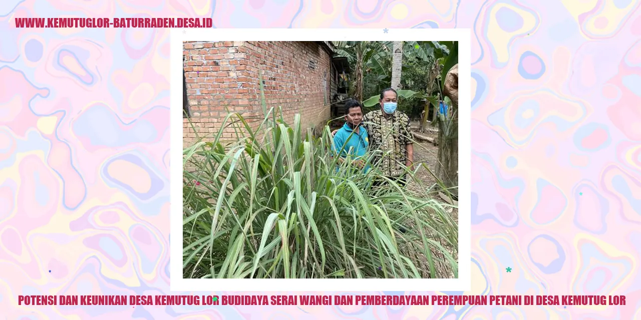 Potensi dan Keunikan Desa Kemutug Lor Budidaya Serai Wangi dan Pemberdayaan Perempuan Petani di desa kemutug lor