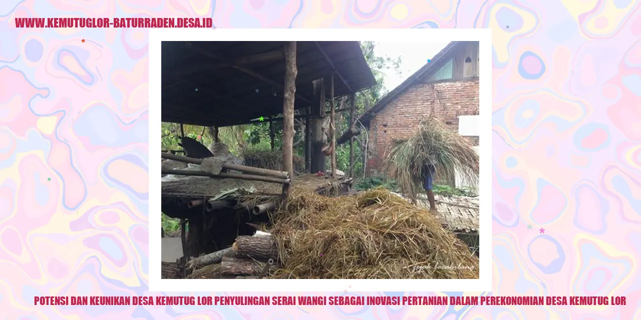 Potensi dan Keunikan Desa Kemutug Lor Penyulingan Serai Wangi sebagai Inovasi Pertanian dalam Perekonomian Desa Kemutug Lor