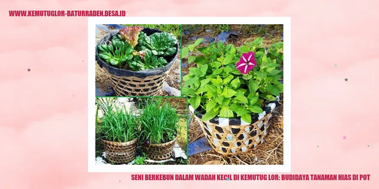 Gambar Tanaman Hias di Pot